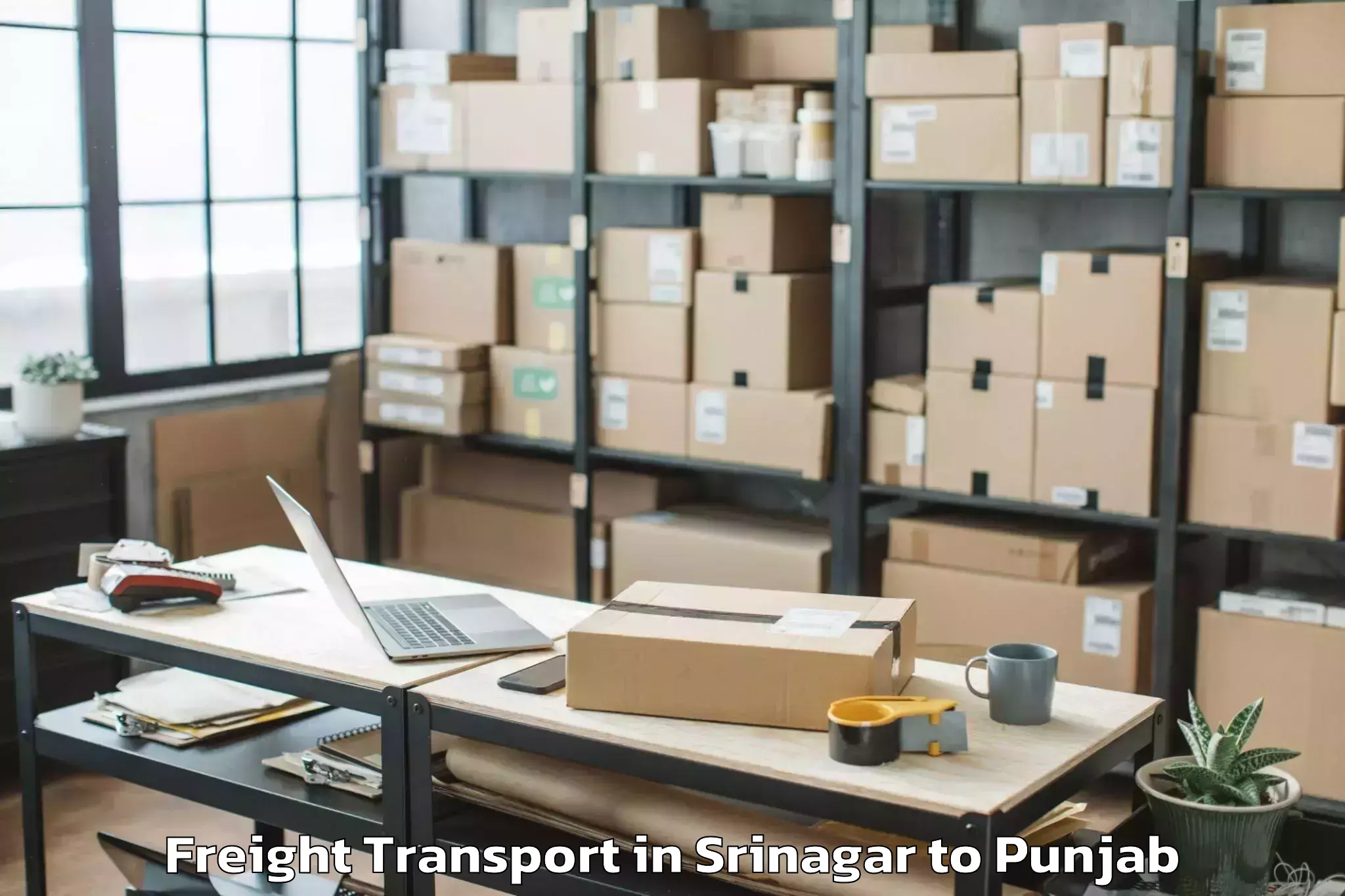 Trusted Srinagar to Ropar Freight Transport